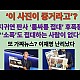 http://ww.ldtv.kr/data/apms/video/youtube/thumb-2K4rq-mPuZY_80x80.jpg