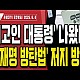 http://ww.ldtv.kr/data/apms/video/youtube/thumb-6p__ARPyEHw_80x80.jpg